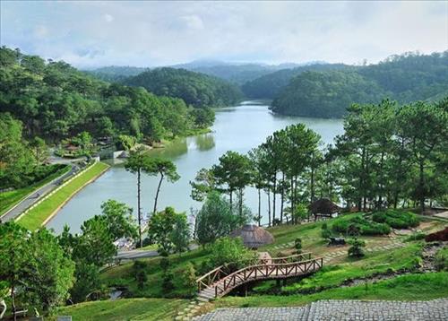sinh nhat buon 