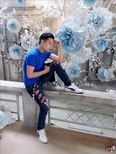 thanhhai le
