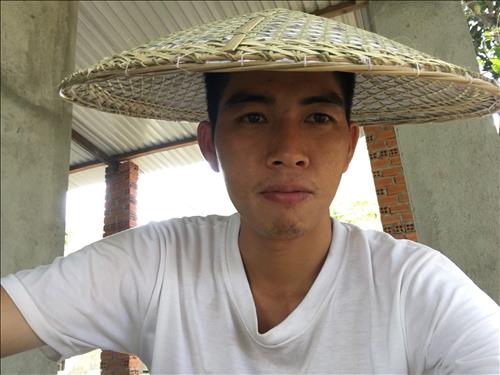 Tình Trong Gió