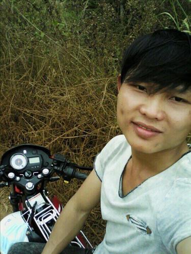 tran viet