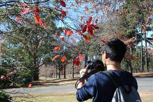 hẹn hò - NA-Nam -Tuổi:40 - Đã có gia đình--Tìm bạn bè mới
