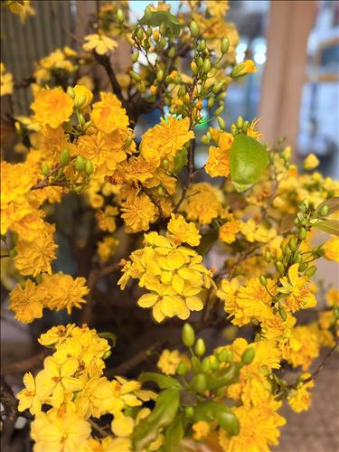 hẹn hò - Nguyen Binh-Nam -Tuổi:42 - Đang có người yêu-TP Hồ Chí Minh-Tìm bạn tâm sự