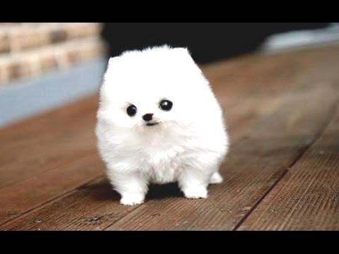 Cần một ai đó