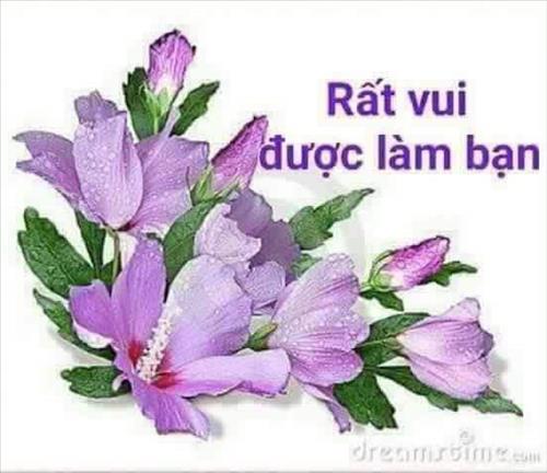 Dung Nguyen
