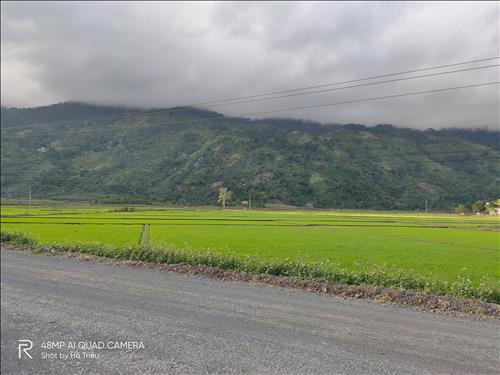 hẹn hò - Nguyễn Hùng-Nam -Tuổi:26 - Độc thân-Đăk Lăk-Người yêu lâu dài