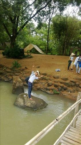Kền kền xanh