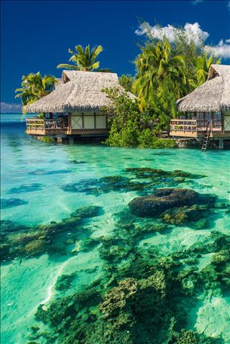 hẹn hò - Tran van-Male -Age:41 - Single--Short Term - Best dating website, dating with vietnamese person, finding girlfriend, boyfriend.