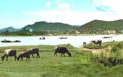 Đại Gia Nghèo