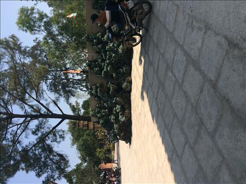 hẹn hò - silence-Nam -Tuổi:31 - Độc thân-TP Hồ Chí Minh-Người yêu lâu dài