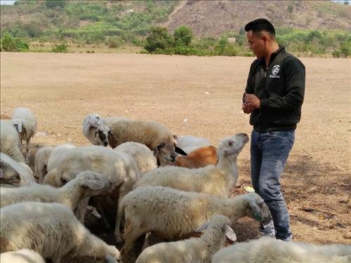 hẹn hò - Vũ Đạt-Nam -Tuổi:30 - Độc thân-Bà Rịa - Vũng Tàu-Người yêu lâu dài