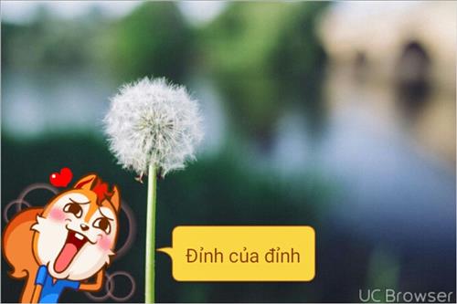 hẹn hò - nhân-Nam -Tuổi:27 - Độc thân-TP Hồ Chí Minh-Người yêu lâu dài