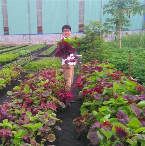 hẹn hò - NGAN HANG-Nam -Tuổi:26 - Độc thân-TP Hồ Chí Minh-Người yêu lâu dài