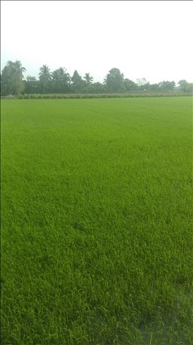 hẹn hò - Sang Nguyễn-Nam -Tuổi:31 - Độc thân-TP Hồ Chí Minh-Người yêu lâu dài