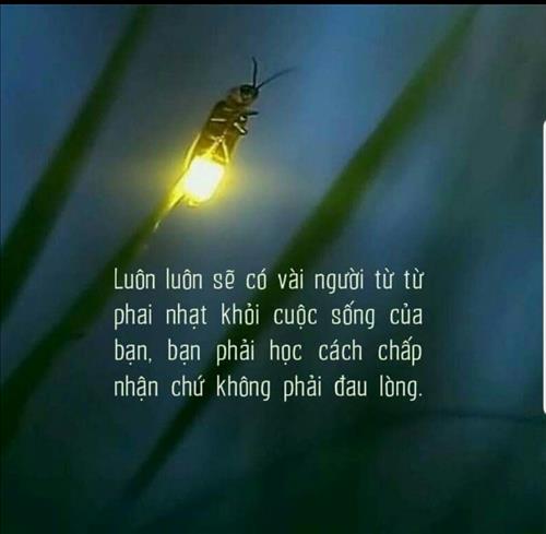 Phạm GP