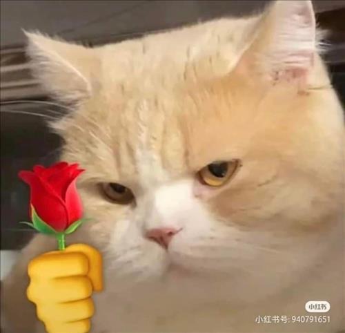 hẹn hò - Physics-Nam -Tuổi:28 - Độc thân-Hà Nội-Người yêu lâu dài