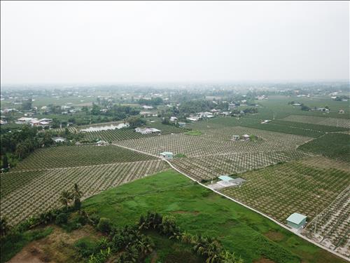 Hùng Mập