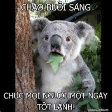 Đợi chờ là hạnh phúc