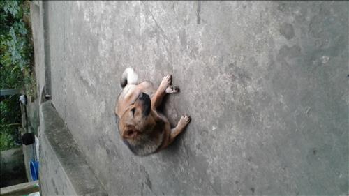 hẹn hò - Toi Mai-Nam -Tuổi:36 - Độc thân-TP Hồ Chí Minh-Tìm bạn tâm sự