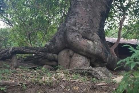 Muốn...... hẹn hò...