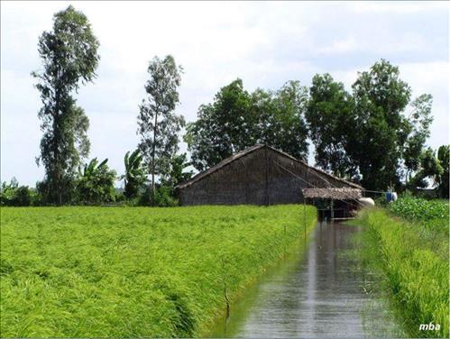 hẹn hò - TÌM BẠN ĐỜI-Nam -Tuổi:50 - Ly dị-TP Hồ Chí Minh-Người yêu lâu dài