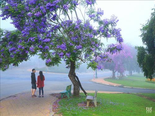 hẹn hò - thanh-Nam -Tuổi:32 - Độc thân-Lâm Đồng-Người yêu lâu dài