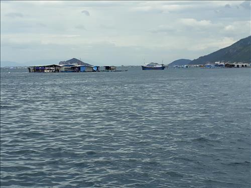 Hai Ngo