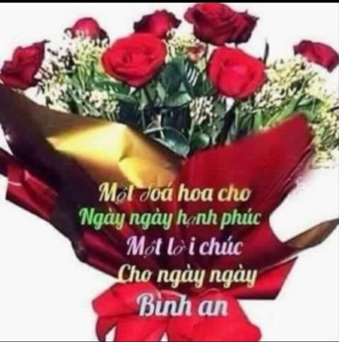 Nha Đất