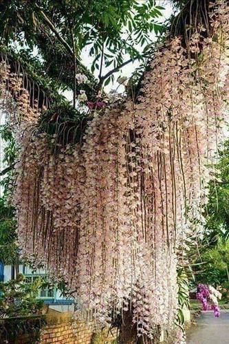 hẹn hò - Nguyen-Nam -Tuổi:34 - Độc thân-TP Hồ Chí Minh-Người yêu lâu dài