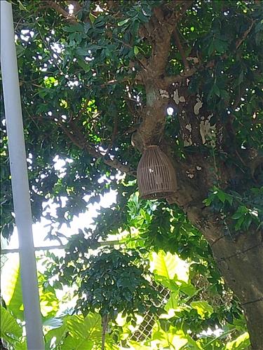 hẹn hò - thọ-Nam -Tuổi:24 - Độc thân-Đà Nẵng-Người yêu lâu dài
