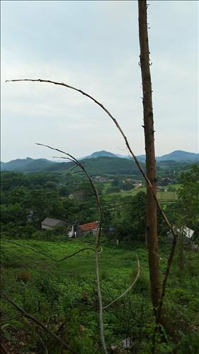 hẹn hò - Van Loc-Nam -Tuổi:19 - Độc thân-TP Hồ Chí Minh-Người yêu lâu dài