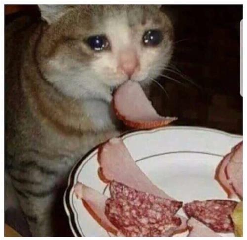 Haooo