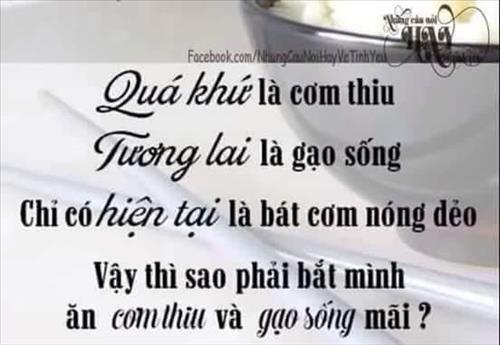 Phan phi chương
