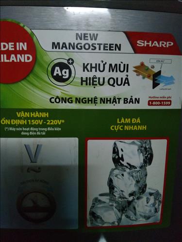 tuan tuan
