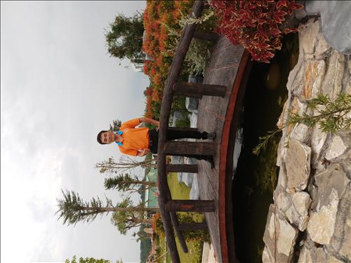 tung phan