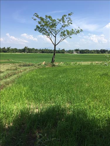 hẹn hò - bao nguyen-Nam -Tuổi:19 - Độc thân-TP Hồ Chí Minh-Người yêu lâu dài