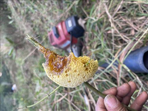 hẹn hò -  ²µy Ɗãřℓing° 🆘-Nam -Tuổi:43 - Ly dị-Lâm Đồng-Người yêu lâu dài