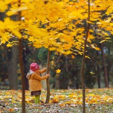 hẹn hò - Dinhtung Dinh-Nam -Tuổi:29 - Độc thân-Quảng Ninh-Người yêu ngắn hạn