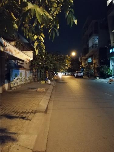 long Trịnh