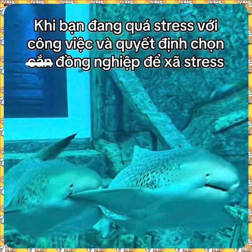 hẹn hò - Lặng lẽ -Nam -Tuổi:35 - Đã có gia đình-Hà Nội-Người yêu lâu dài