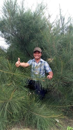 Nguyễn Văn Thảo