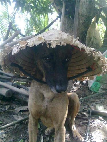 cậu ba