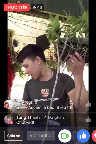 hẹn hò - Doan Dang-Nam -Tuổi:30 - Độc thân--Người yêu lâu dài
