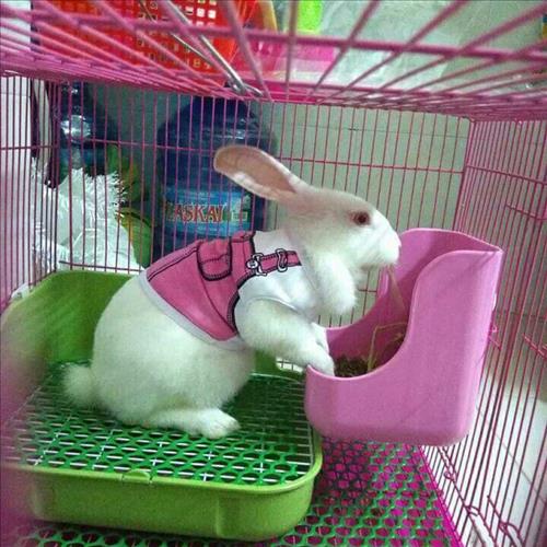 hẹn hò - Thiện-Nam -Tuổi:33 - Độc thân-TP Hồ Chí Minh-Người yêu lâu dài