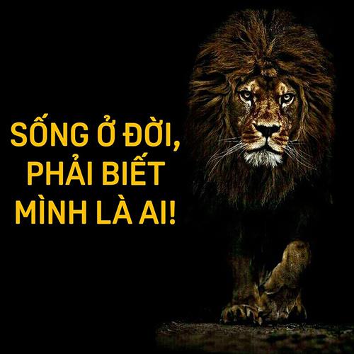 hẹn hò - The Sun-Nam -Tuổi:27 - Độc thân-TP Hồ Chí Minh-Tìm bạn tâm sự