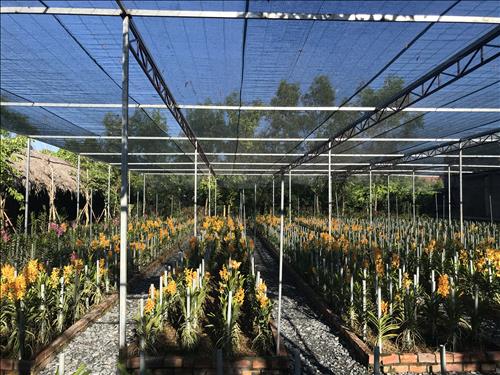 hẹn hò - Nam-Nam -Tuổi:36 - Độc thân-Hà Nội-Người yêu ngắn hạn