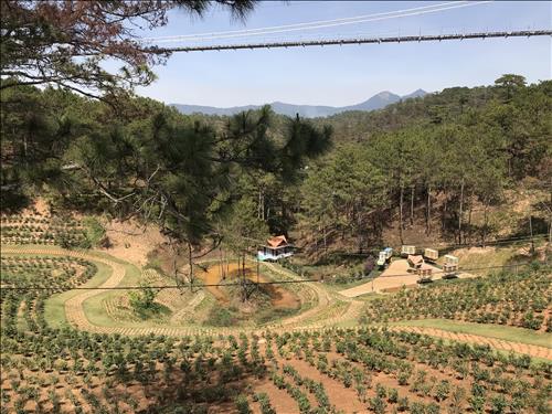 hẹn hò - Hoang Tình-Male -Age:35 - Single-TP Hồ Chí Minh-Confidential Friend - Best dating website, dating with vietnamese person, finding girlfriend, boyfriend.