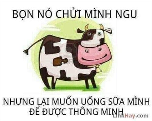 Le Van trung