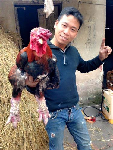 Nguyen Doat