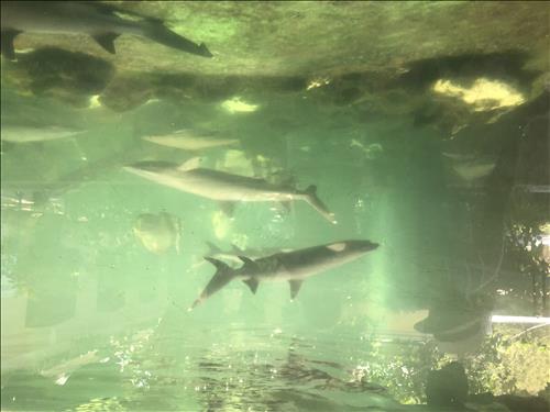 hẹn hò - Nguyễn-Male -Age:33 - Single-Hà Nội-Short Term - Best dating website, dating with vietnamese person, finding girlfriend, boyfriend.