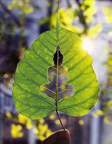 hẹn hò - Kukuku-Nam -Tuổi:35 - Đã có gia đình-TP Hồ Chí Minh-Người yêu ngắn hạn